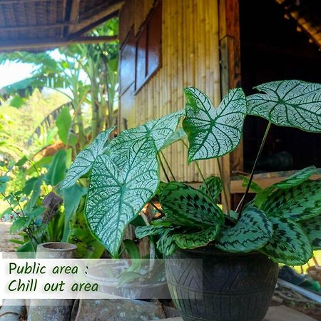 Theppahrak Home Khaolak Khao Lak Eksteriør billede